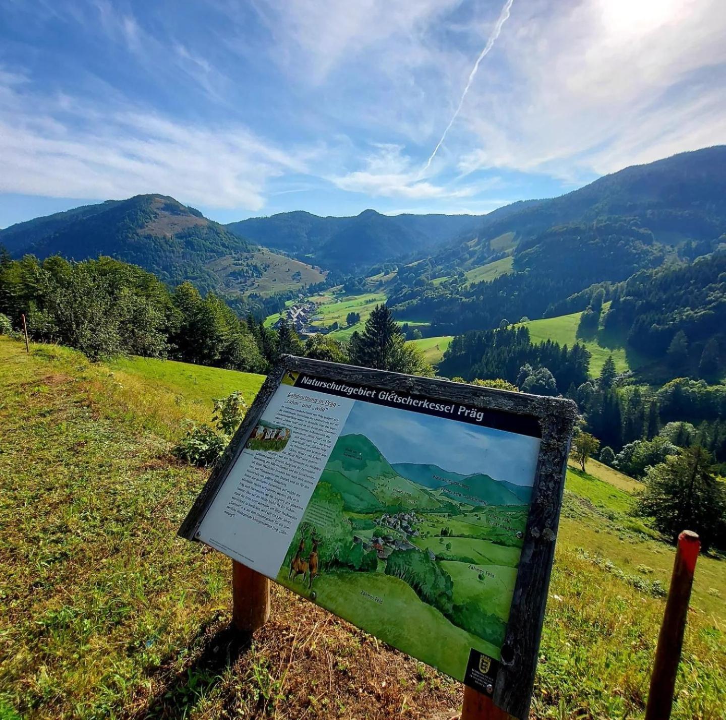 Ferienwohnungen Haus Hees Todtnau Exteriör bild