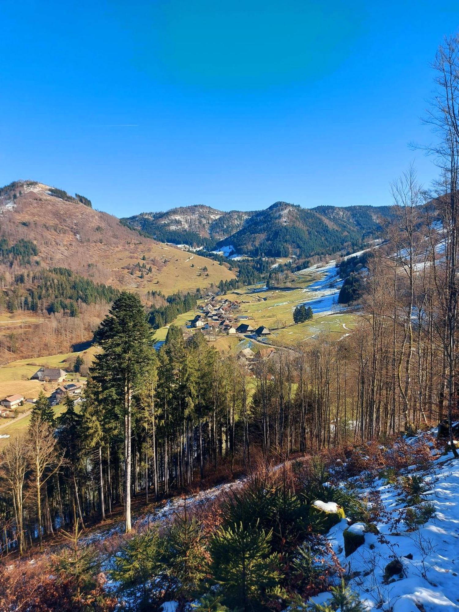 Ferienwohnungen Haus Hees Todtnau Exteriör bild