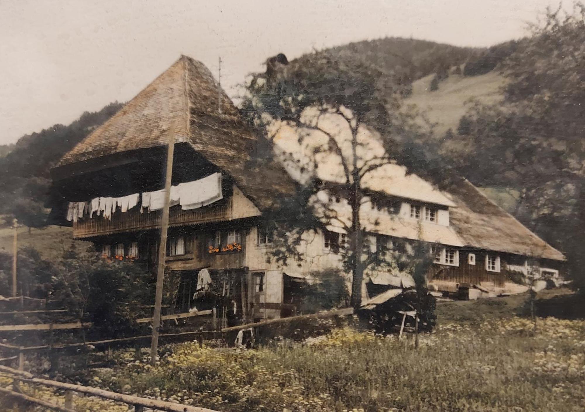 Ferienwohnungen Haus Hees Todtnau Exteriör bild