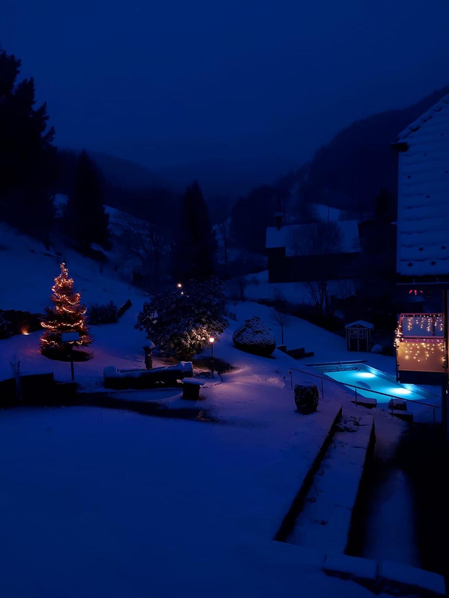 Ferienwohnungen Haus Hees Todtnau Exteriör bild