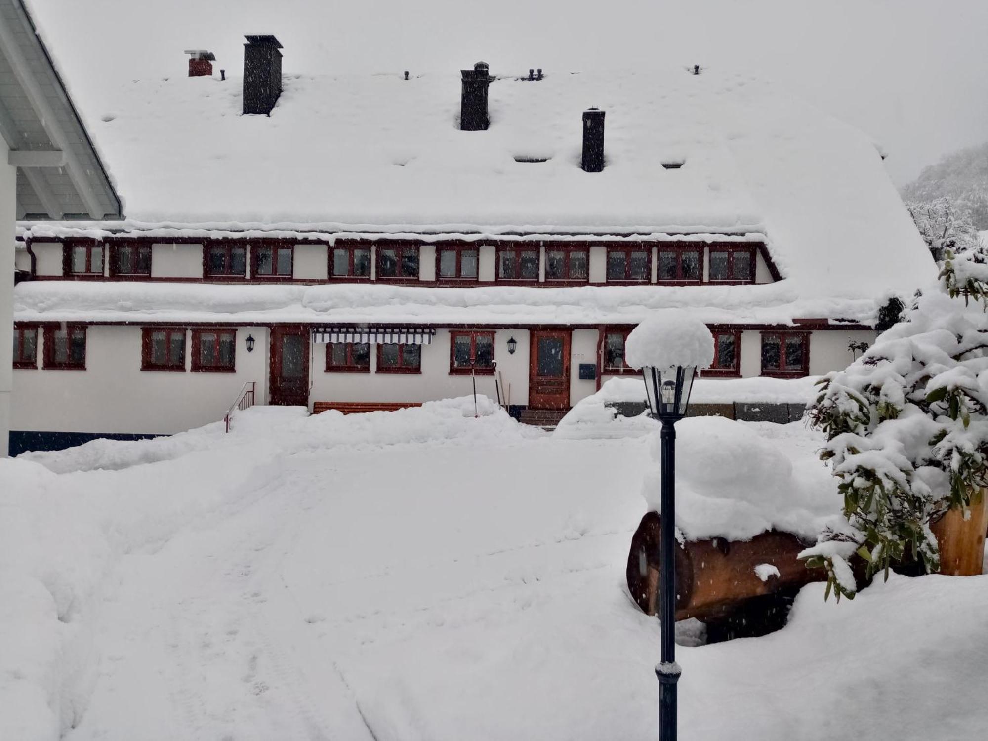 Ferienwohnungen Haus Hees Todtnau Exteriör bild