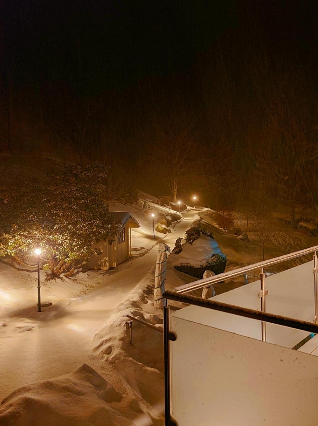 Ferienwohnungen Haus Hees Todtnau Exteriör bild