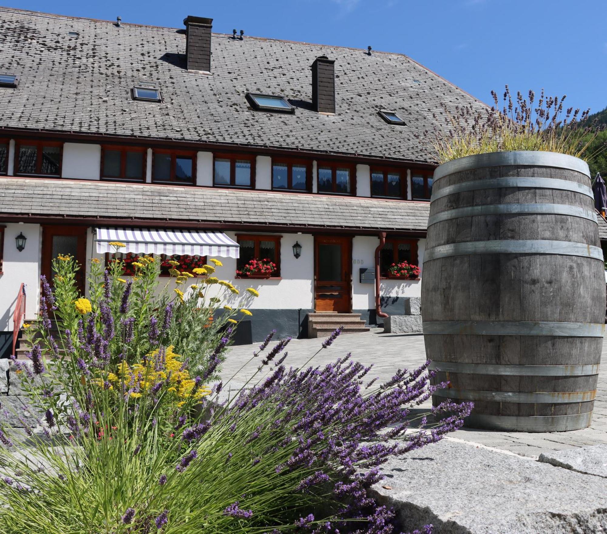 Ferienwohnungen Haus Hees Todtnau Exteriör bild