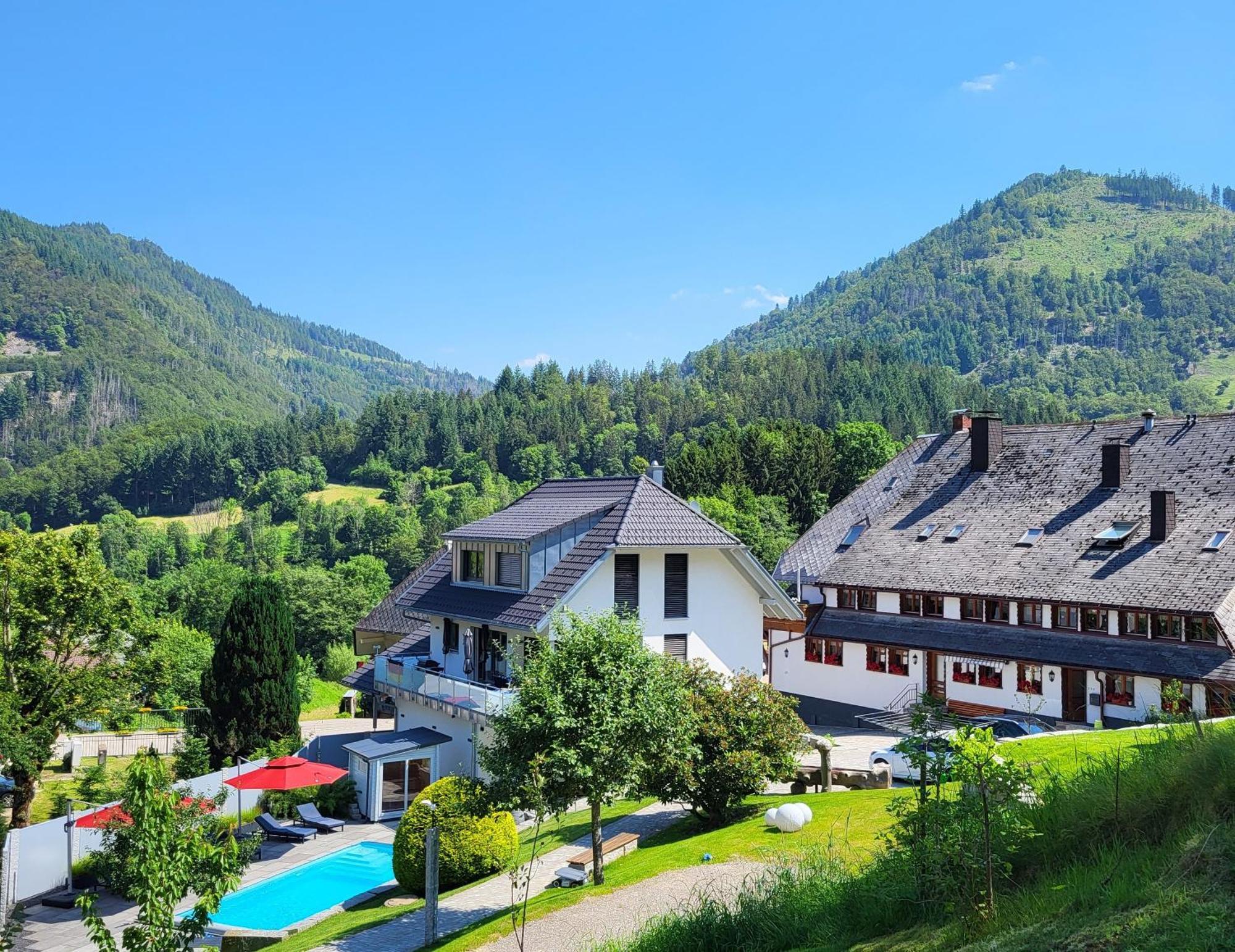 Ferienwohnungen Haus Hees Todtnau Exteriör bild